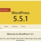 Wordpress update core version 5.5.1 - Tech Solution For Web